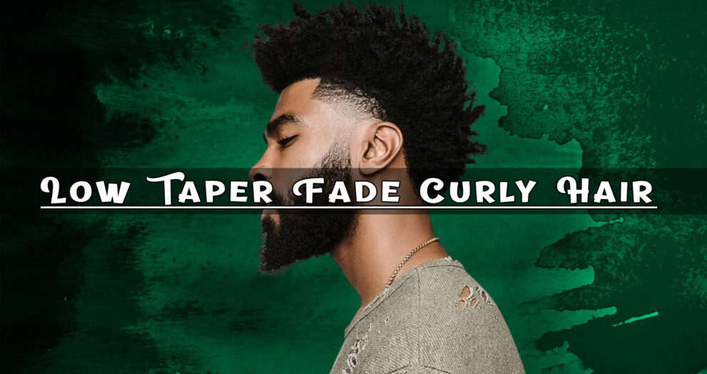 Low Taper Fade Curly Hair