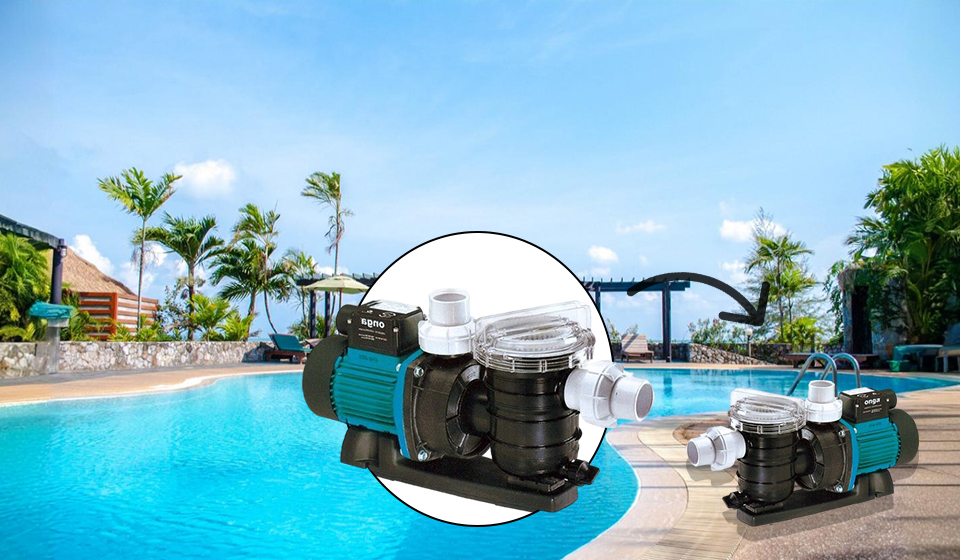 Best Pool Pump