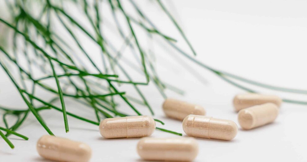 Probiotics for Weight Loss