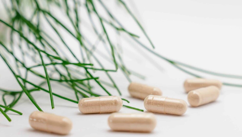 Probiotics for Weight Loss