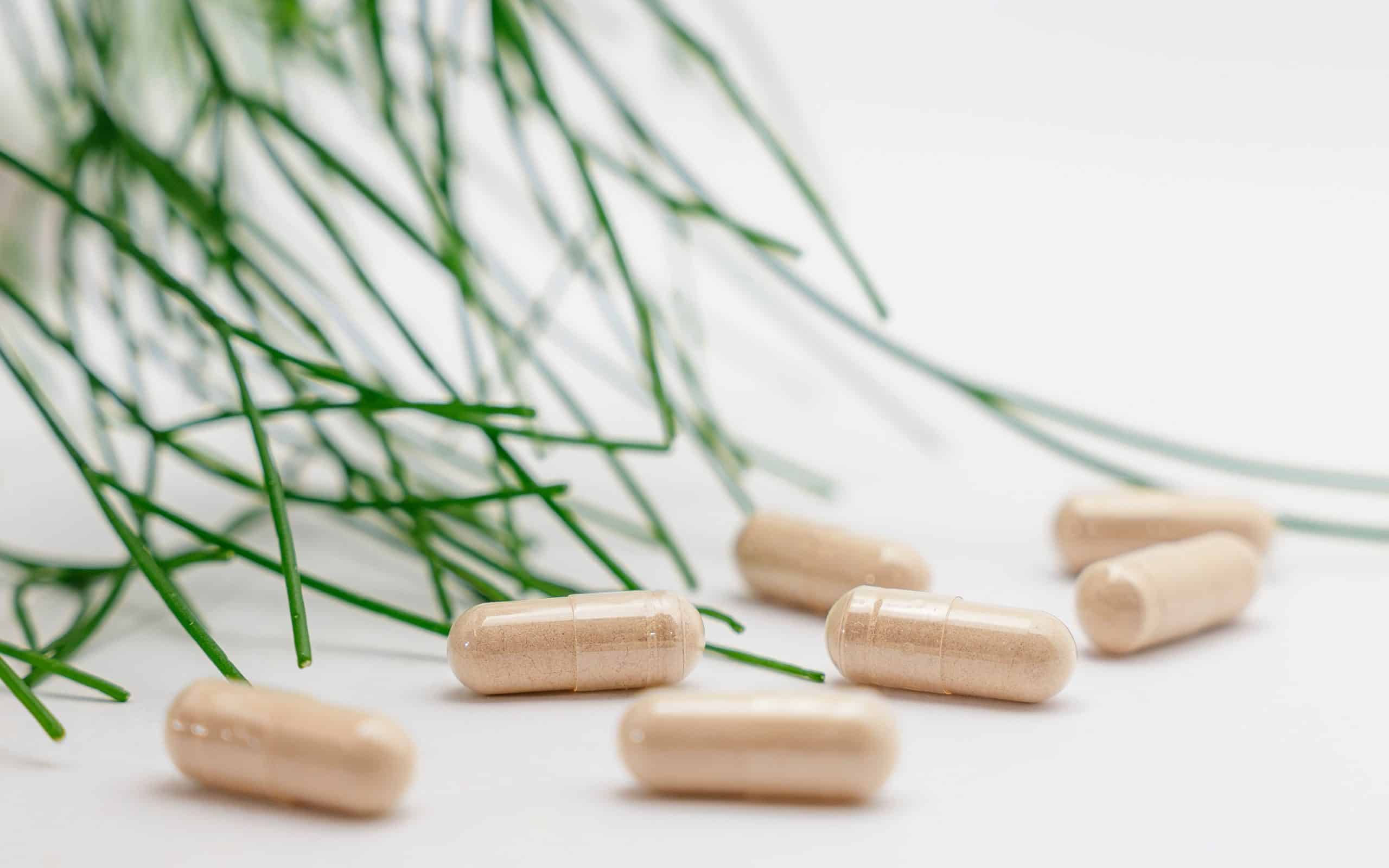 Probiotics for Weight Loss
