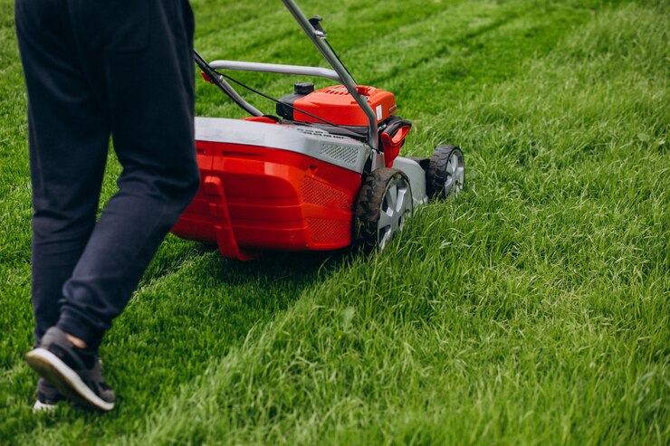 How Lawn Experts Keep Lawns Looking Sharp