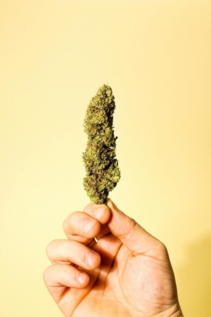 Quality Wellness Dispensary