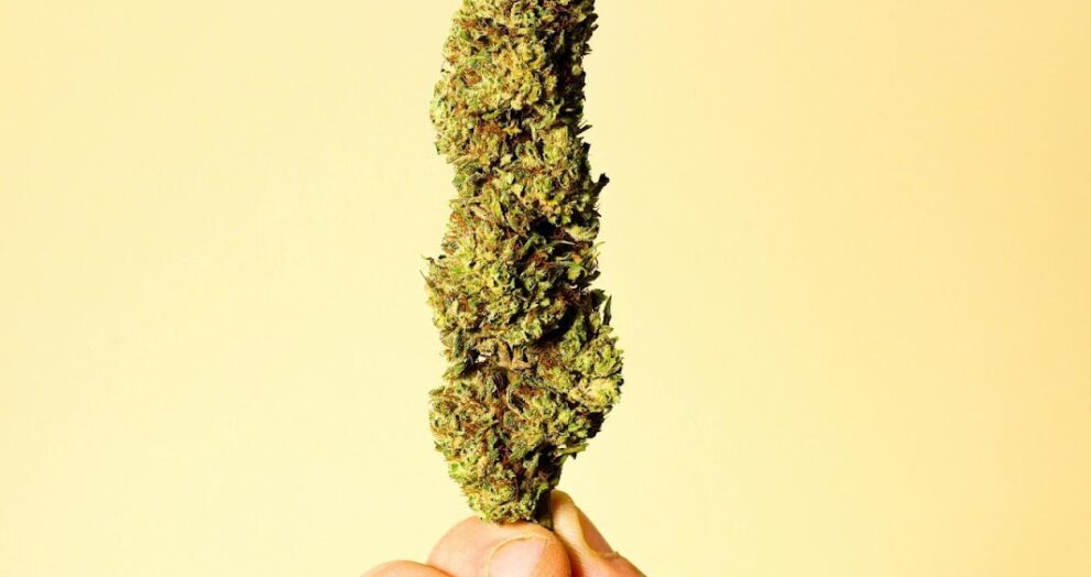 Quality Wellness Dispensary