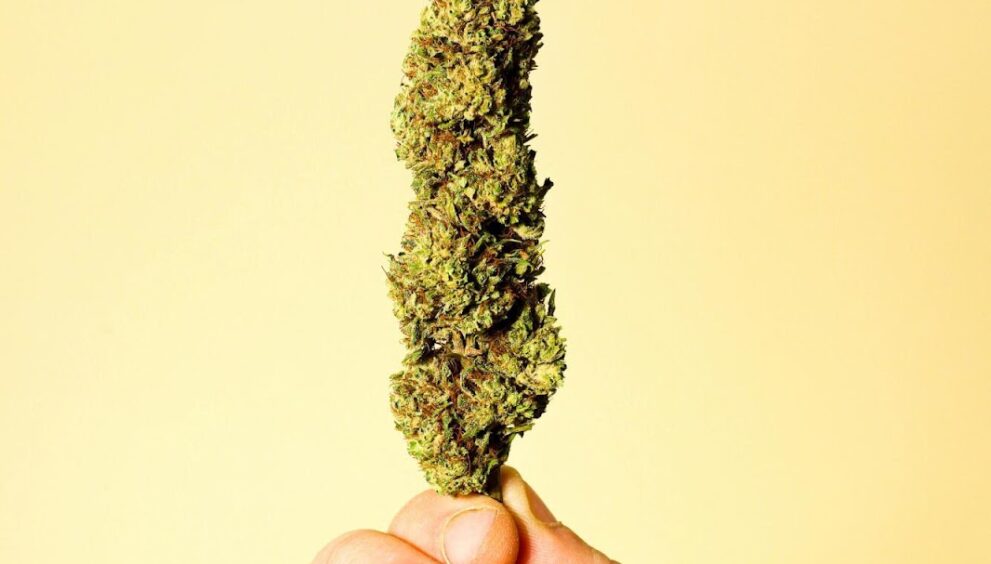 Quality Wellness Dispensary