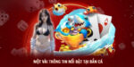 Fish Shooting – Treasure Hunting 2025