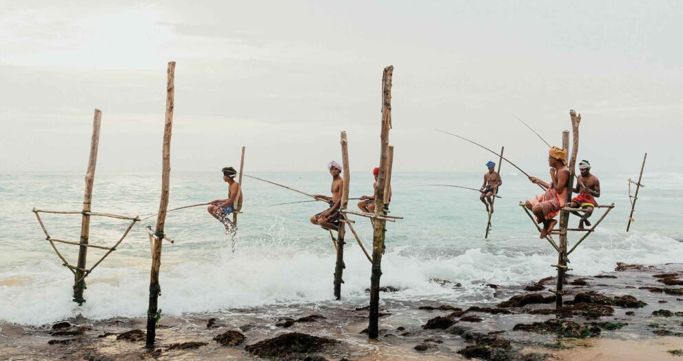 Luxury Wildlife Safaris in Sri Lanka