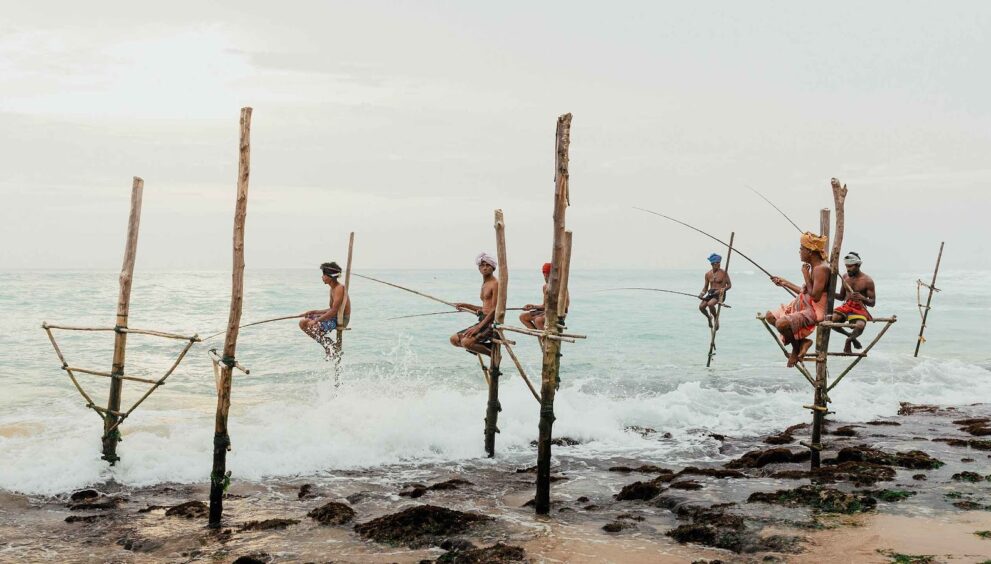 Luxury Wildlife Safaris in Sri Lanka