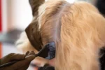 How Macgregor Hairdressing Elevates Your Hairstyle Confidence