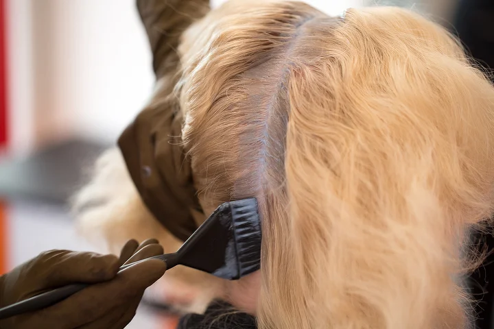 Macgregor Hairdressing