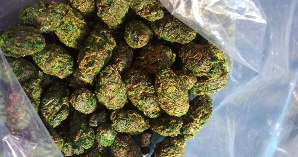 Buying Hemp Buds