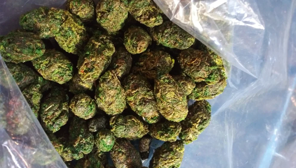 Buying Hemp Buds
