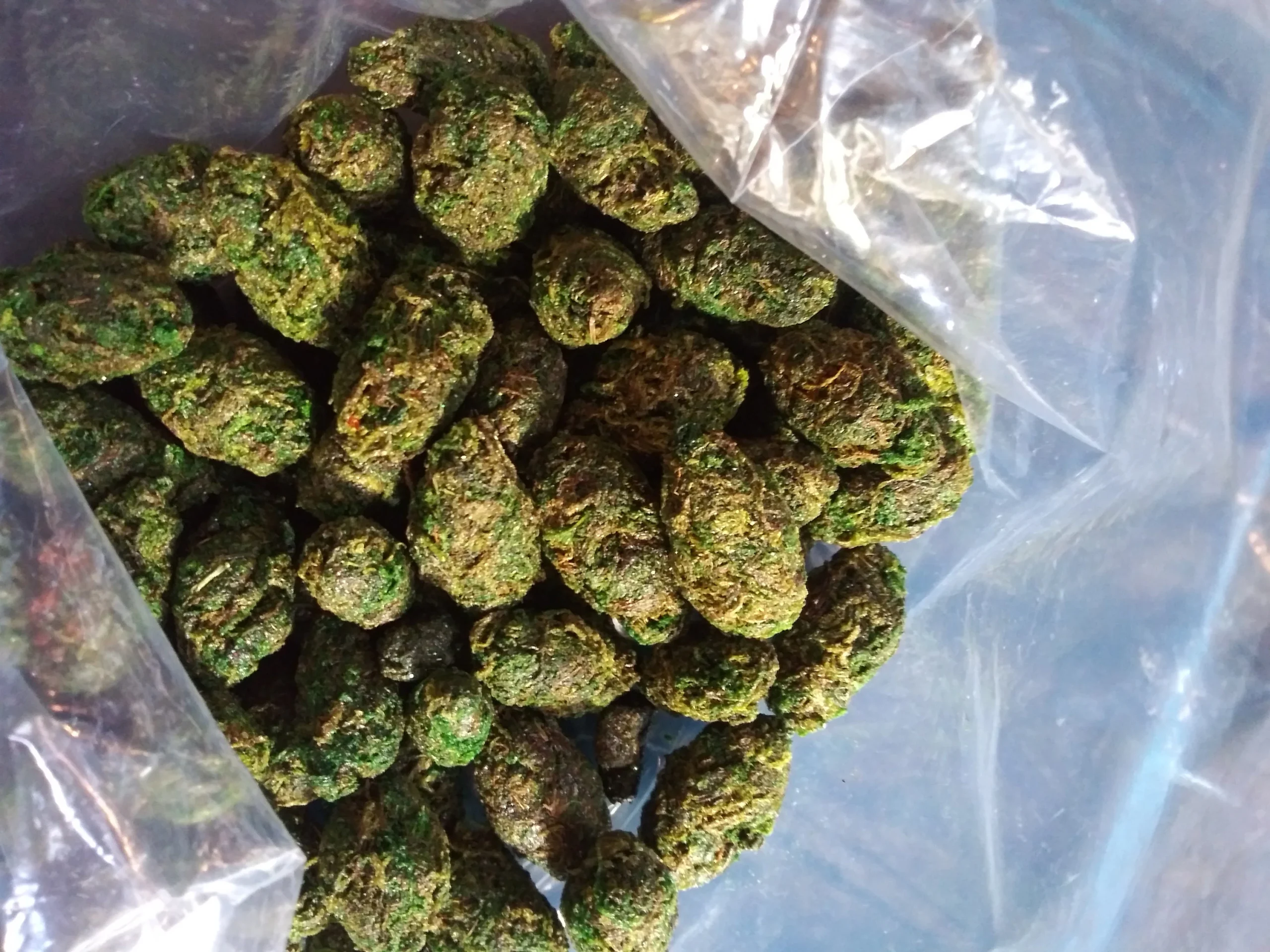 Buying Hemp Buds