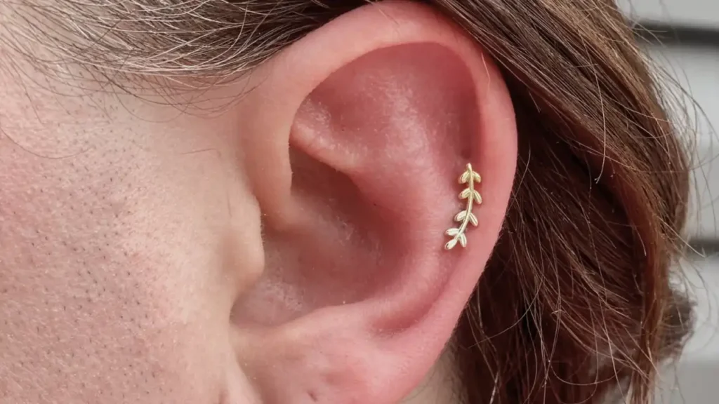cartilage piercings