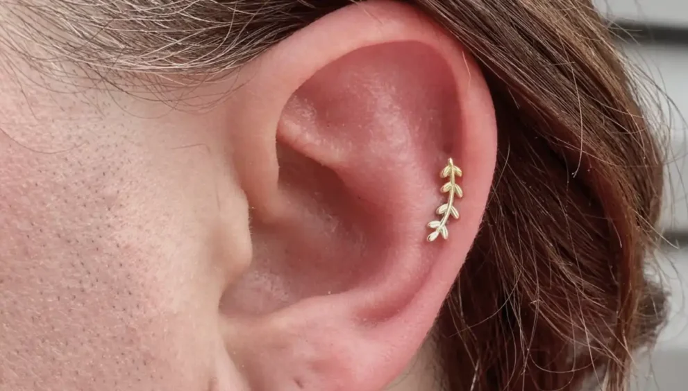 cartilage piercings